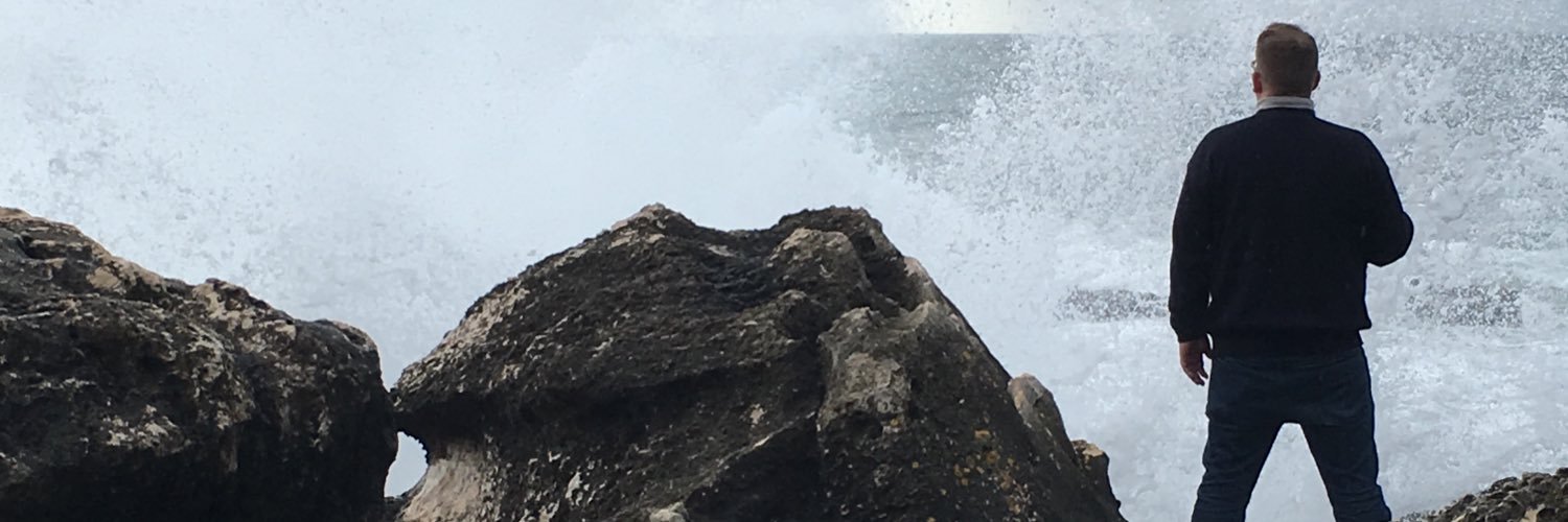 Steph Delvoye banner