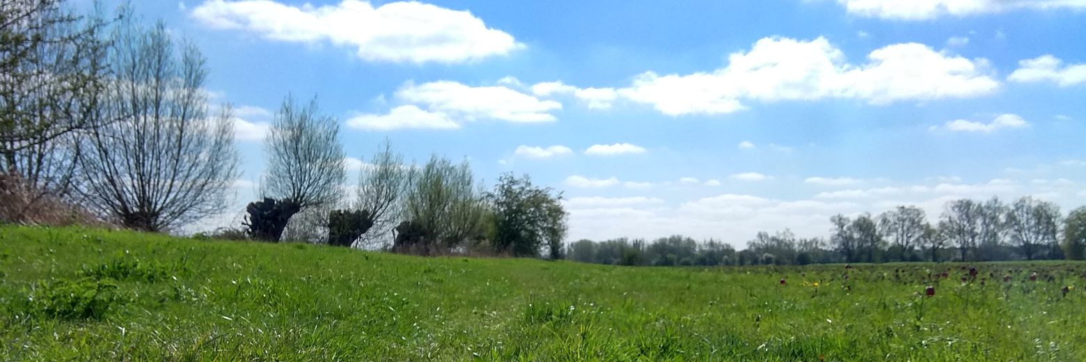 cbrog's profile banner image