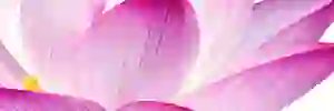 bernaa0098's profile banner image