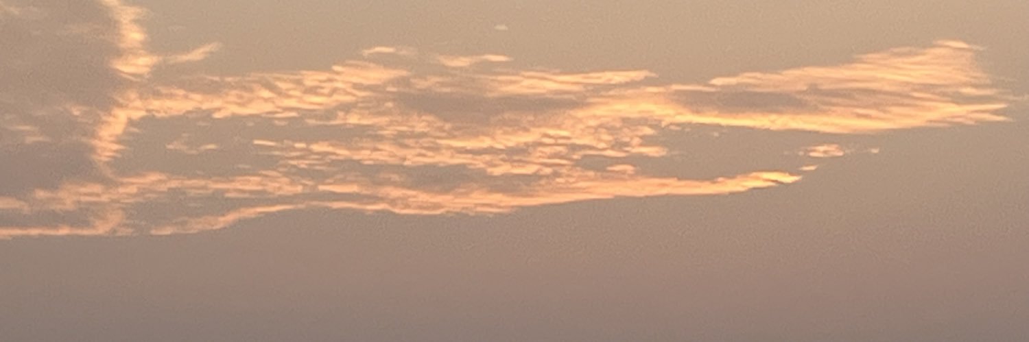 Sun_Ye_'s profile banner image