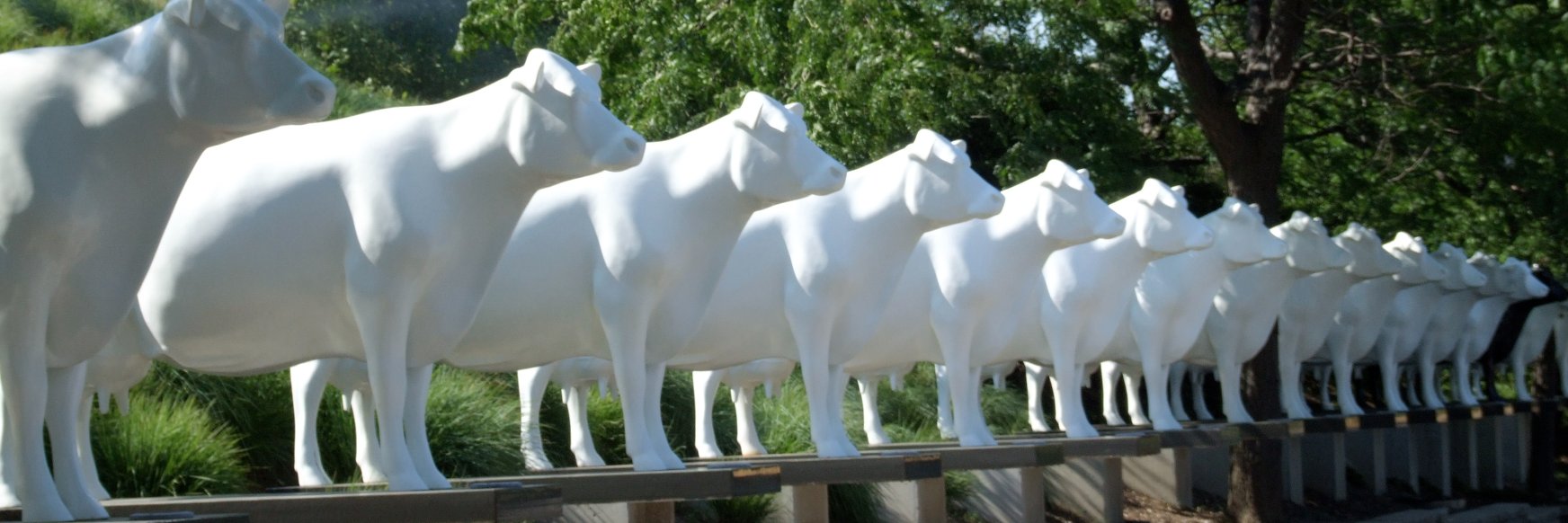 Kopp's Custard banner