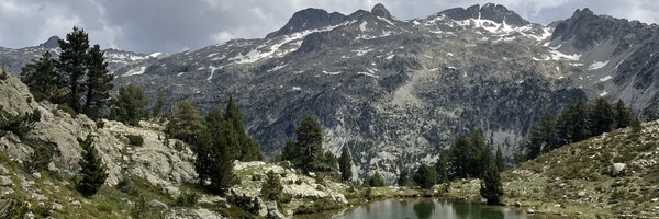 viancaib Profile Banner