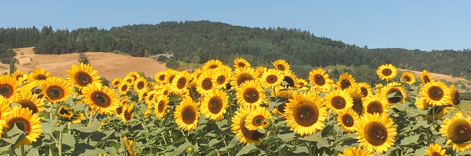 erinjo's profile banner image
