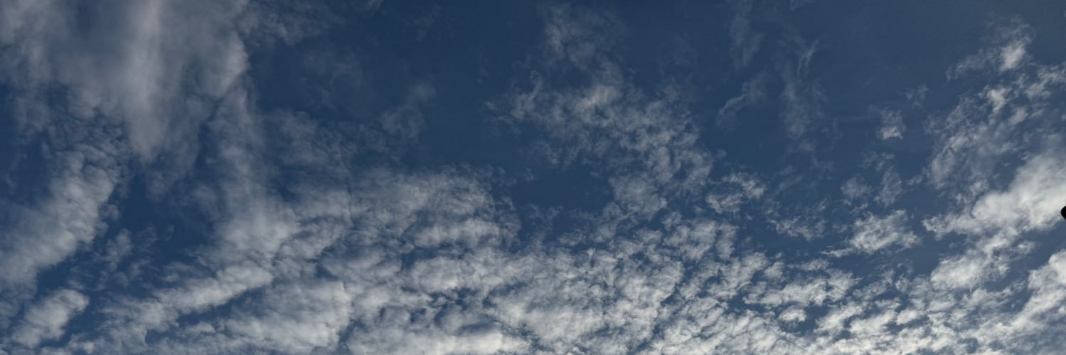 youtaxmen's profile banner image
