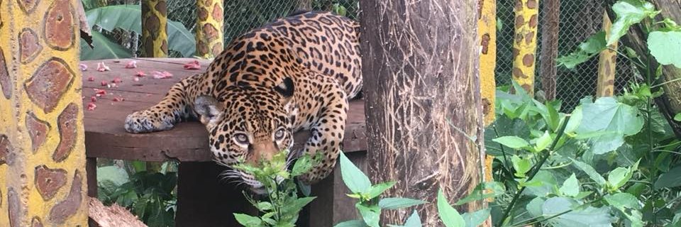 IchBinJuanda's profile banner image