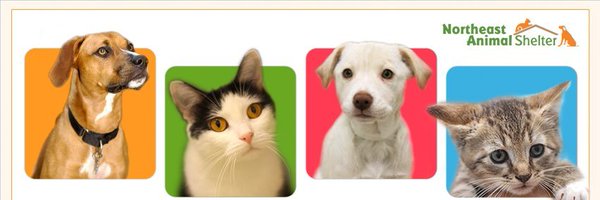 NE Animal Shelter Profile Banner