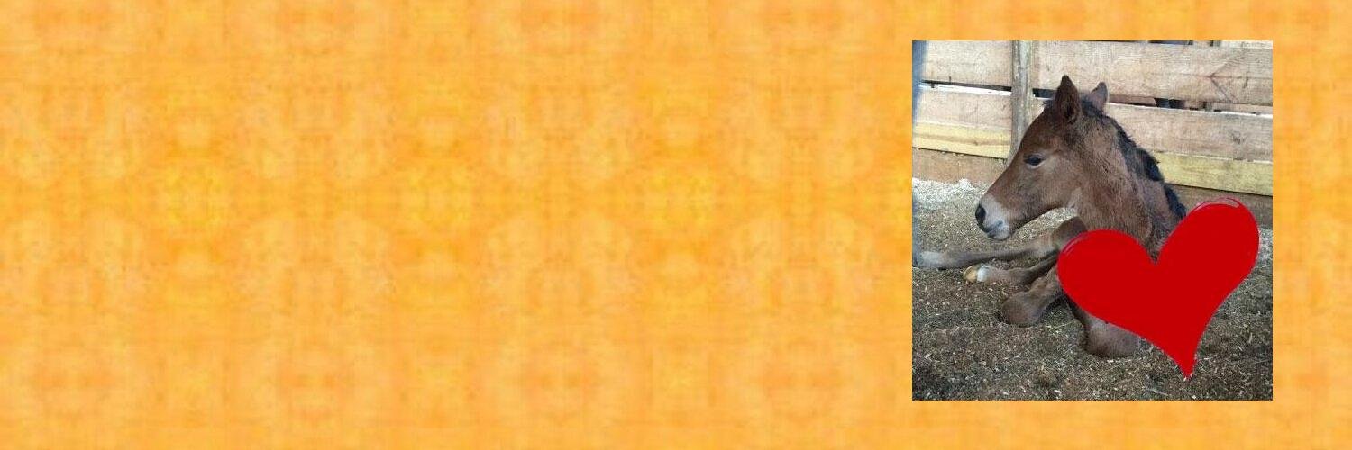 CamilleEChavez's profile banner image