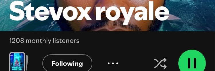 stevoxroyale's profile banner image