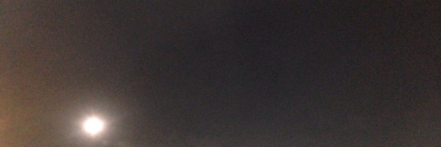 Edgar Wladimir banner