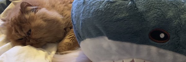 fixedpointfae Profile Banner