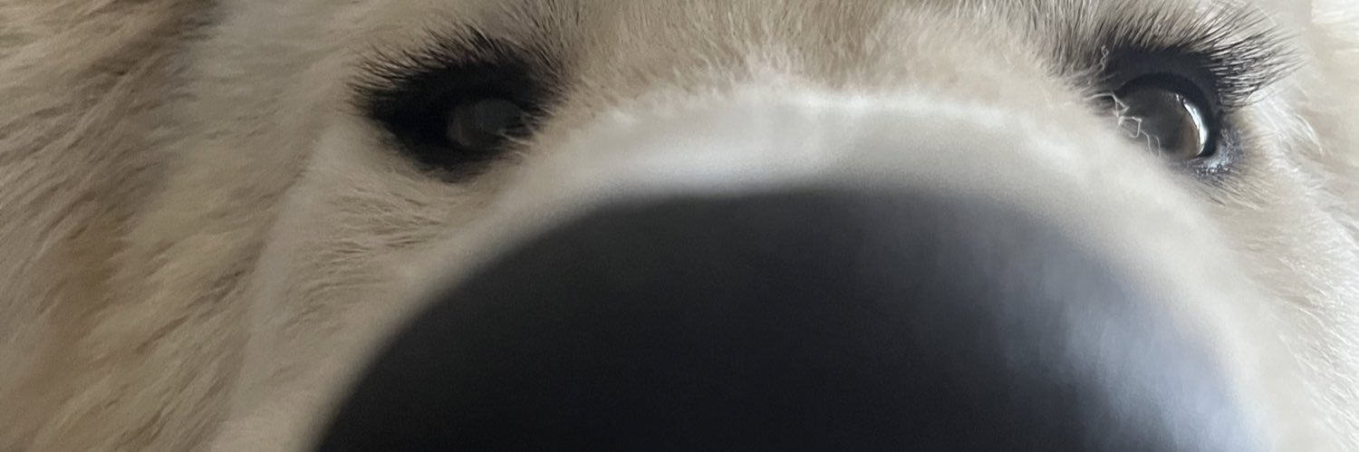 IntelligentCup's profile banner image