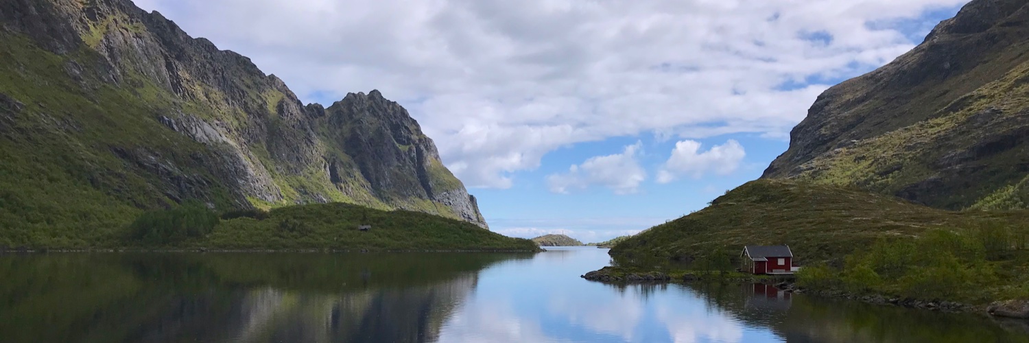 Olivia Dreilinger banner