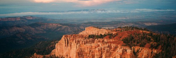 RuthRaichur Profile Banner