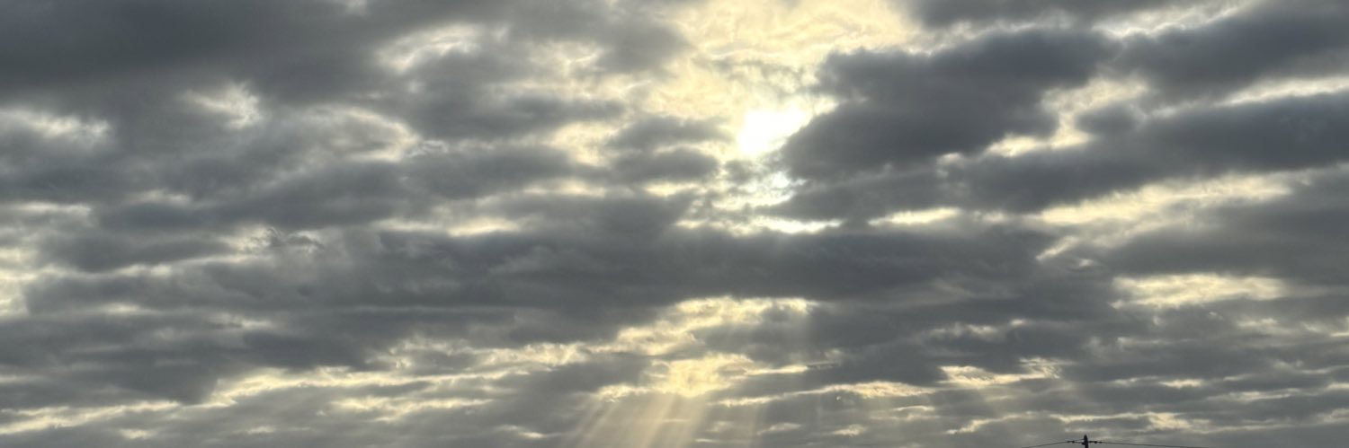 NFT PAPI SHAMPOO banner