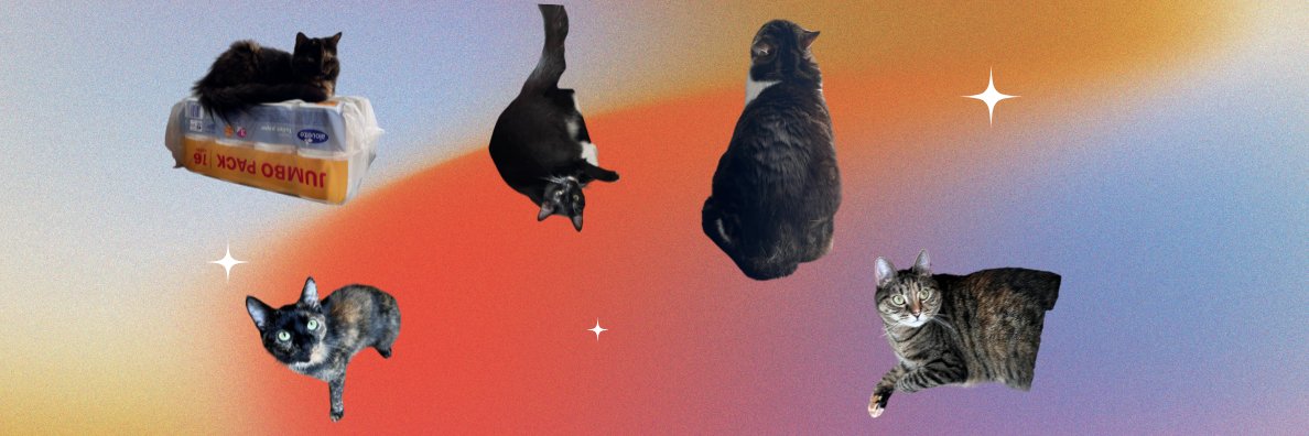 emigoral's profile banner image