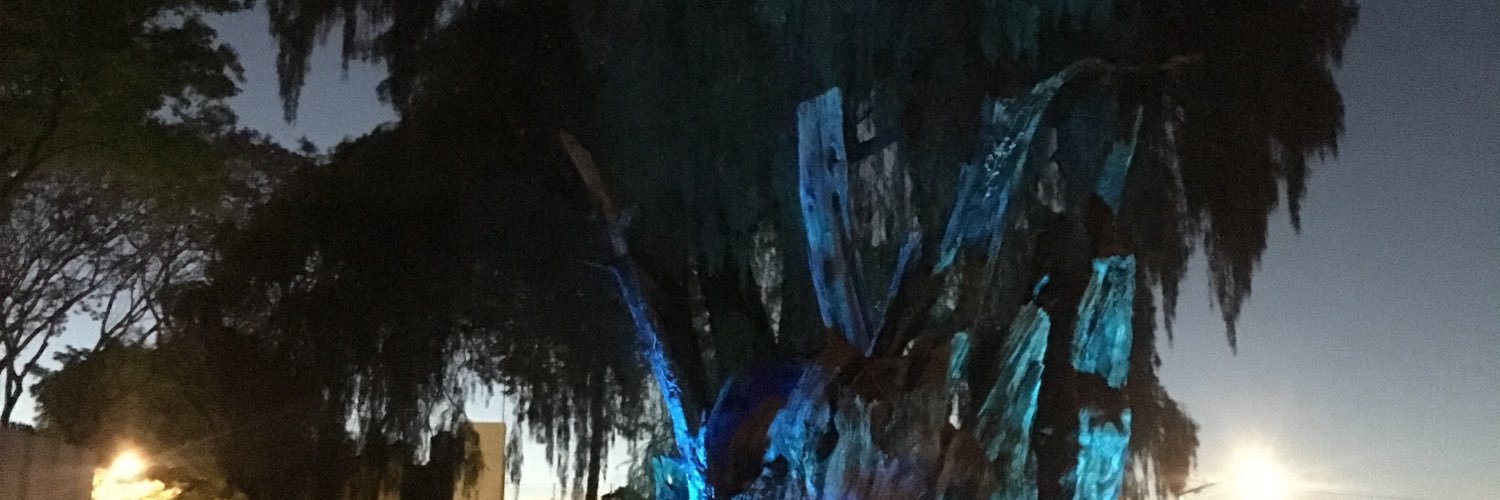 Agradam's profile banner image