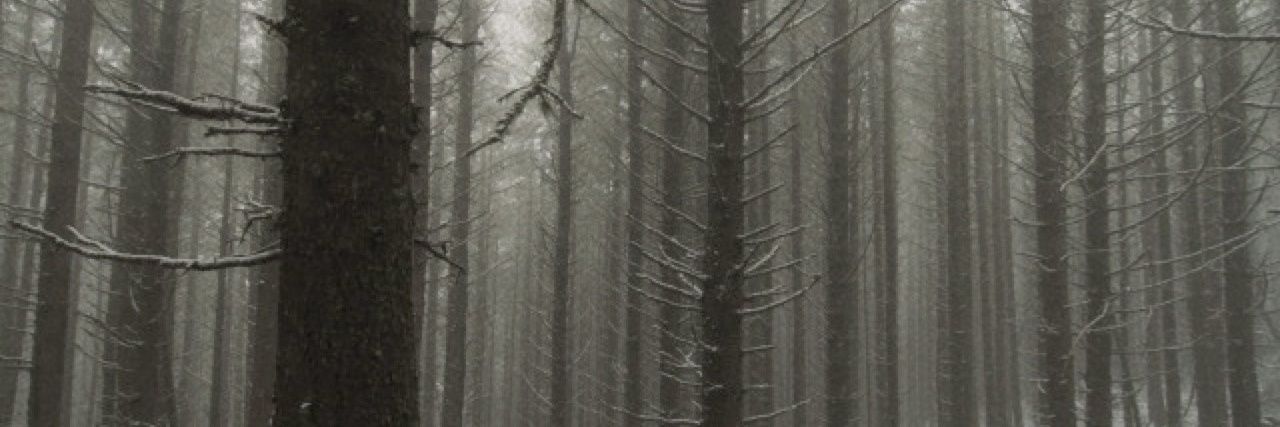 JERSEY DEVIL. banner