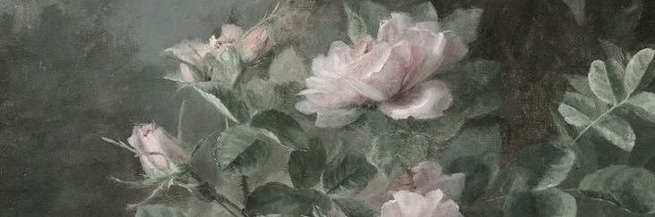 scraphina's profile banner image
