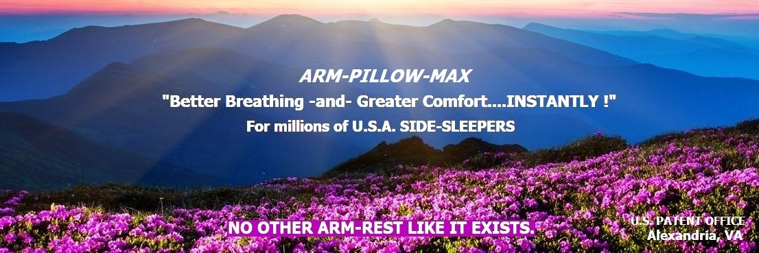ArmPillowMax's profile banner image