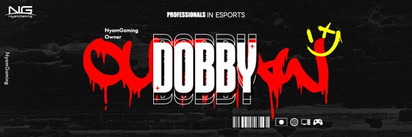 dobby_chan3 Profile Banner