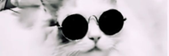 Gato1495's profile banner image