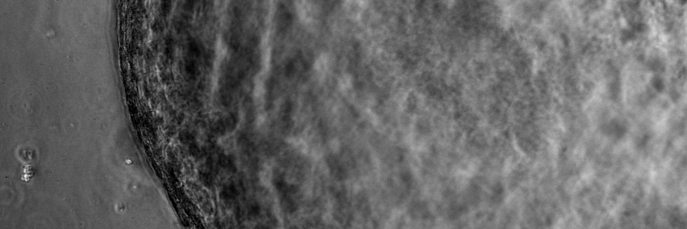 AgaPastula's profile banner image