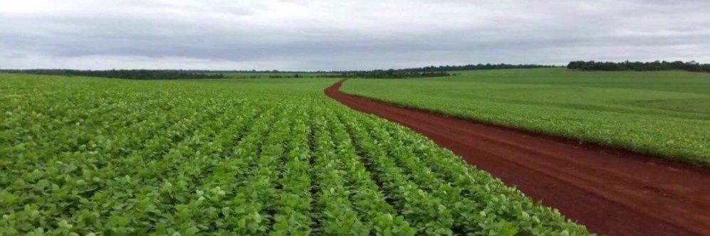 Roger Matías Franco banner