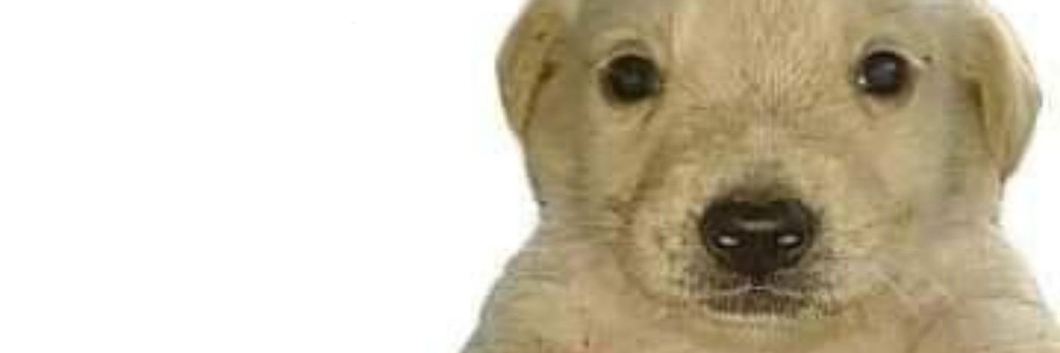 DakyWard's profile banner image