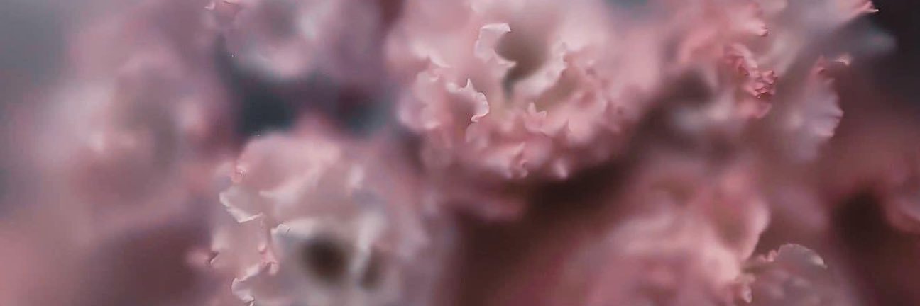 Your Favorite Korean 💦 banner