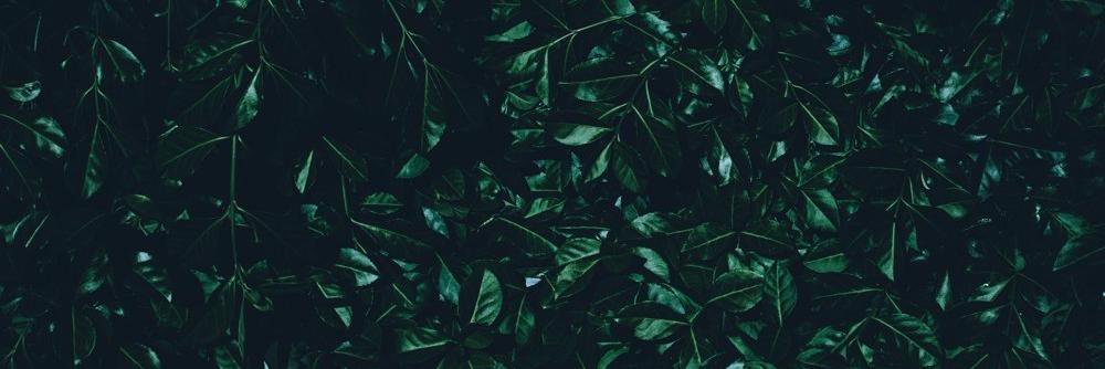 Vladislav423's profile banner image