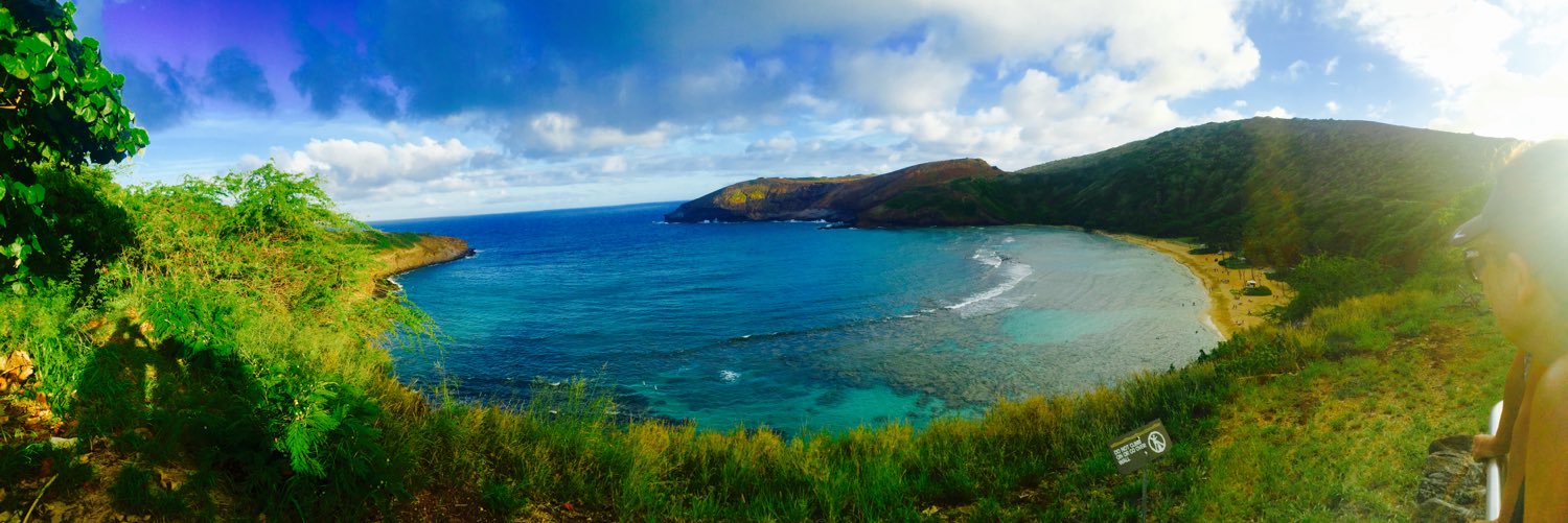 Michael Mossett banner