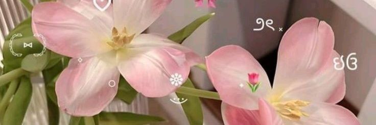 _kelssay's profile banner image