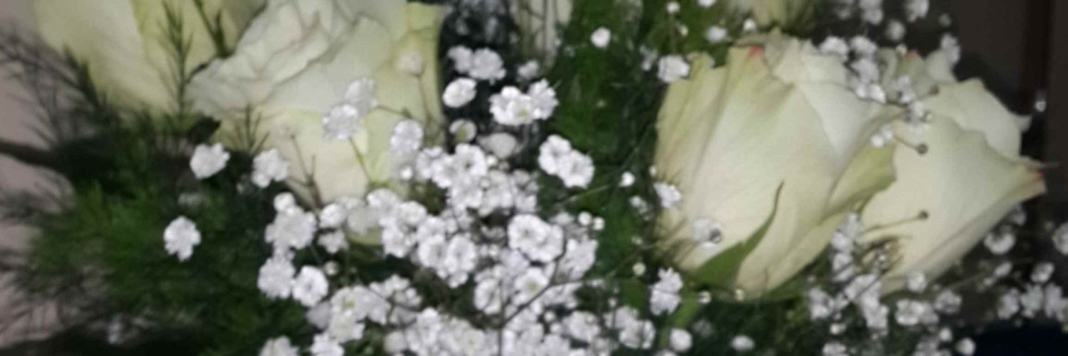 EsinAyes's profile banner image