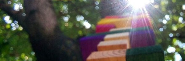 elchapulinxxx Profile Banner