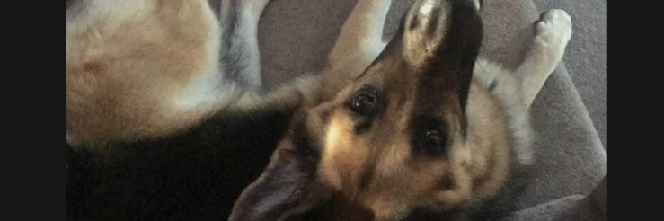 bradazzz17's profile banner image