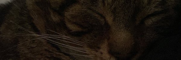 peshak_ak Profile Banner