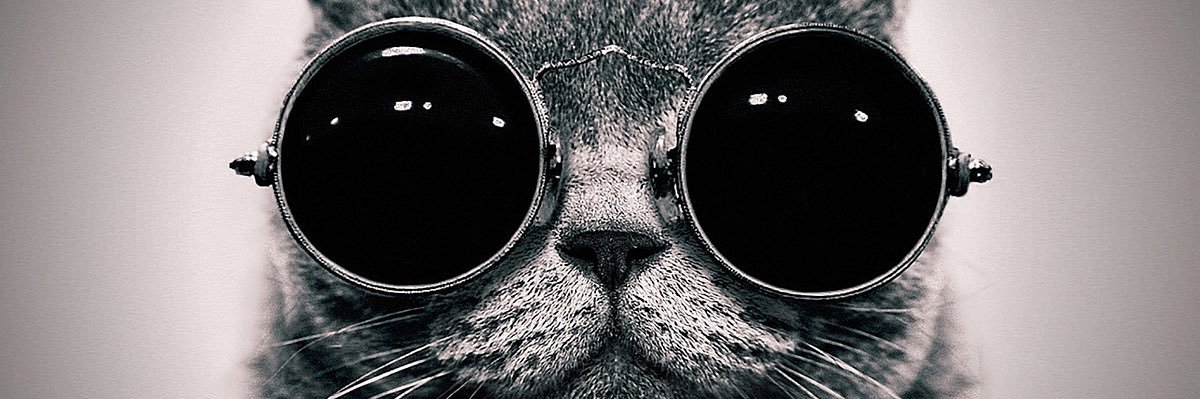 Dane_069's profile banner image