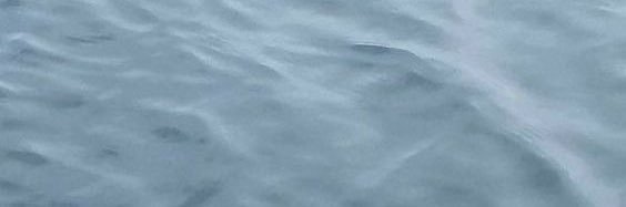이삥뽕 banner