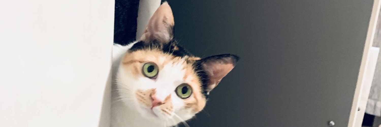ふかふか音頭 banner