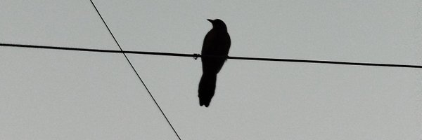 Kev8090 Profile Banner