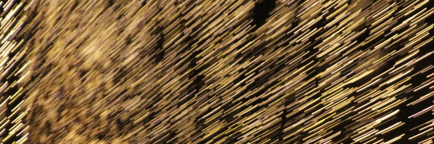 五十嵐智(いかちょー) banner