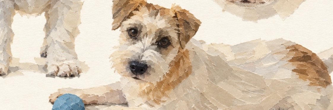 _meloca's profile banner image