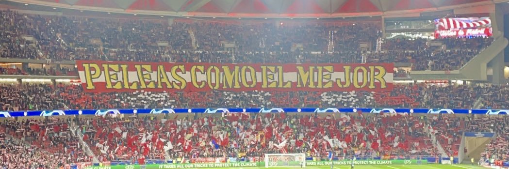 Rocioooo19's profile banner image