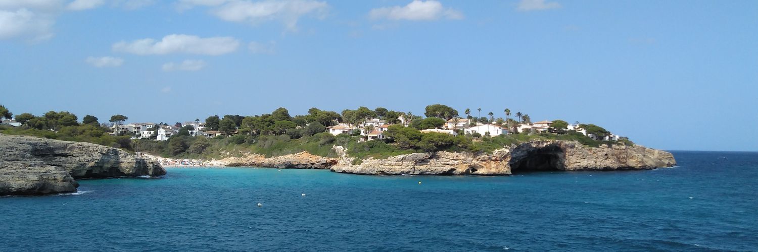 Molpormi's profile banner image