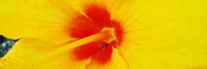 LeozInhoMemoria's profile banner image