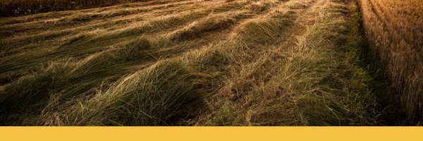 ruralizable Profile Banner