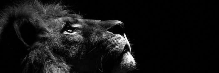 Dami_Loud's profile banner image