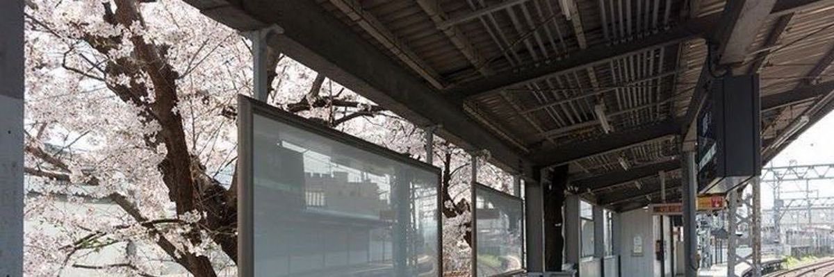 yuhn banner