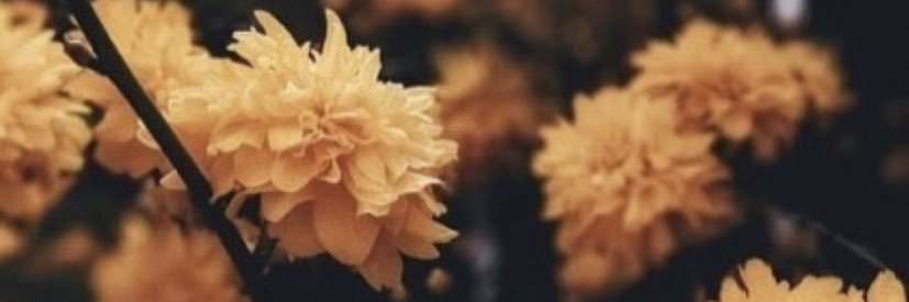 AscendingJ's profile banner image