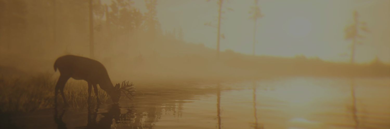 cameron91's profile banner image